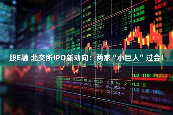 股E融 北交所IPO新动向：两家“小巨人”过会！