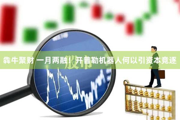 犇牛聚财 一月两融！开普勒机器人何以引资本竞逐