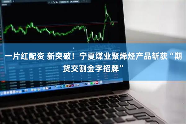 一片红配资 新突破！宁夏煤业聚烯烃产品斩获“期货交割金字招牌”