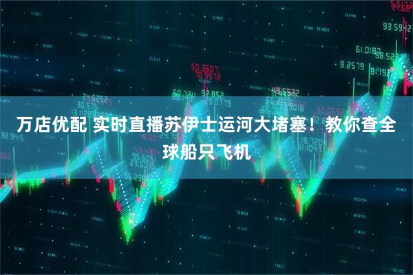 万店优配 实时直播苏伊士运河大堵塞！教你查全球船只飞机