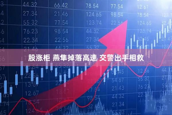 股涨柜 燕隼掉落高速 交警出手相救
