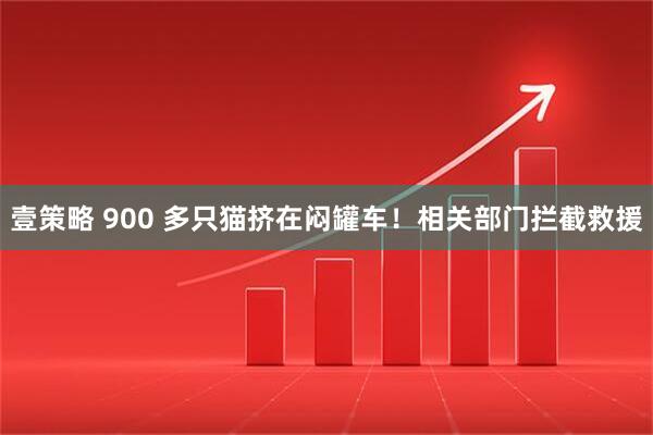 壹策略 900 多只猫挤在闷罐车！相关部门拦截救援