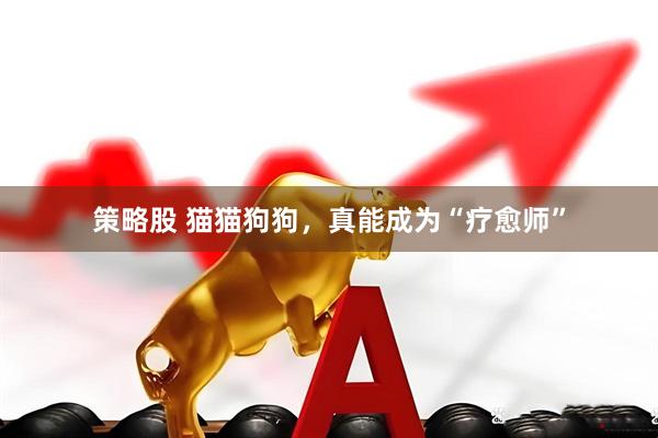 策略股 猫猫狗狗，真能成为“疗愈师”