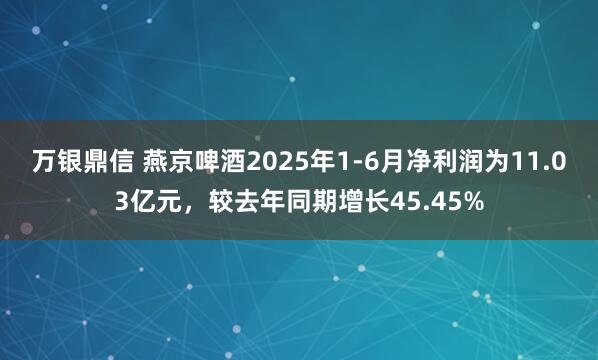 万银鼎信 燕京啤酒2025年1-6月净利润为11.03亿元，较去年同期增长45.45%