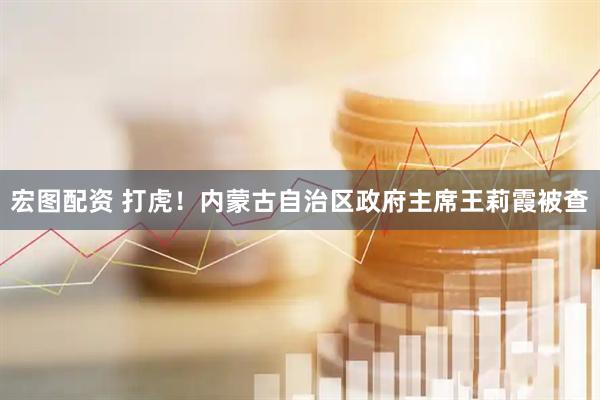宏图配资 打虎！内蒙古自治区政府主席王莉霞被查