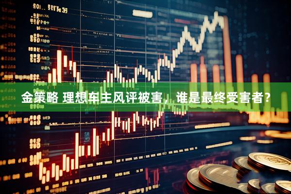 金策略 理想车主风评被害，谁是最终受害者？