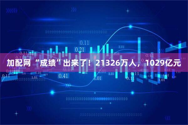 加配网 “成绩”出来了！21326万人，1029亿元